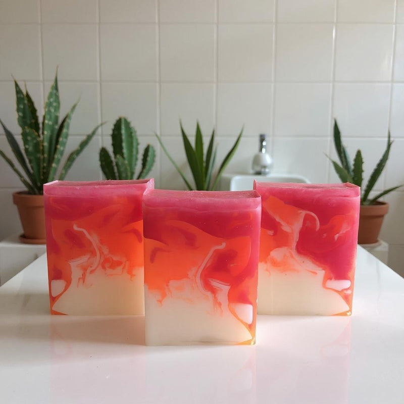 Arizona Cactus Glycerin Bar (Best Seller)